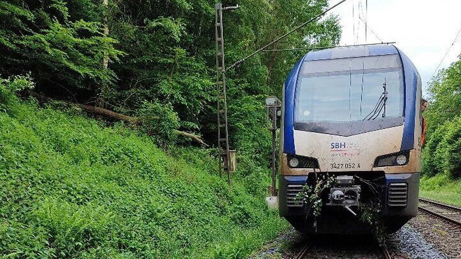 Zug mit 41 Insassen evakuiert: Personenzug kollidiert mit umgestürztem Baum bei Steinheim