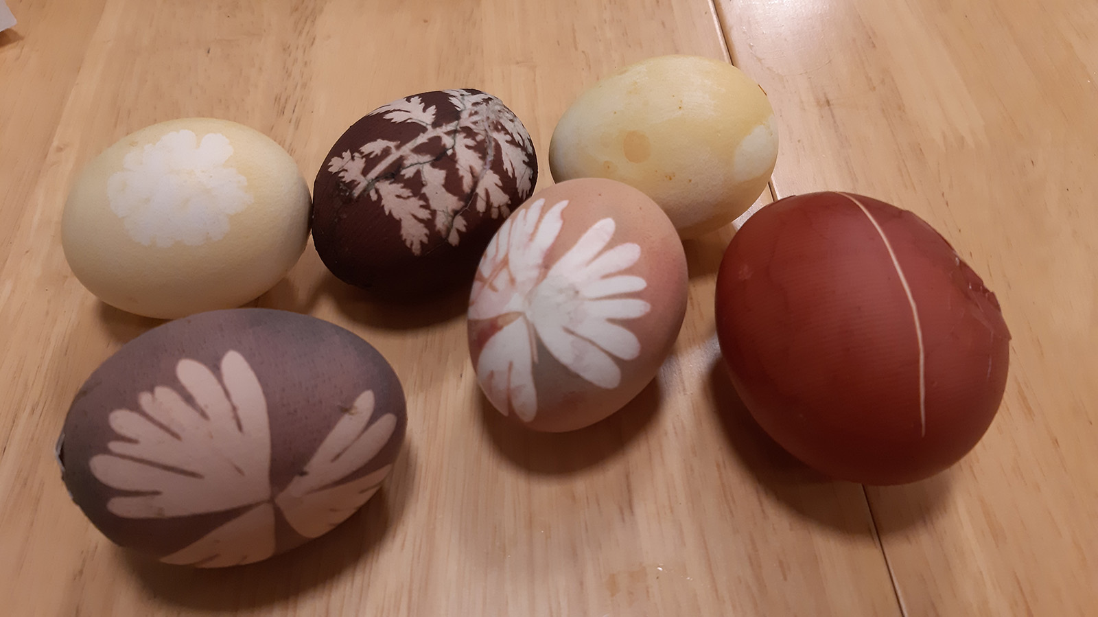 Workshop in Modexen: Ostereier färben mit Naturfarben am 2. April